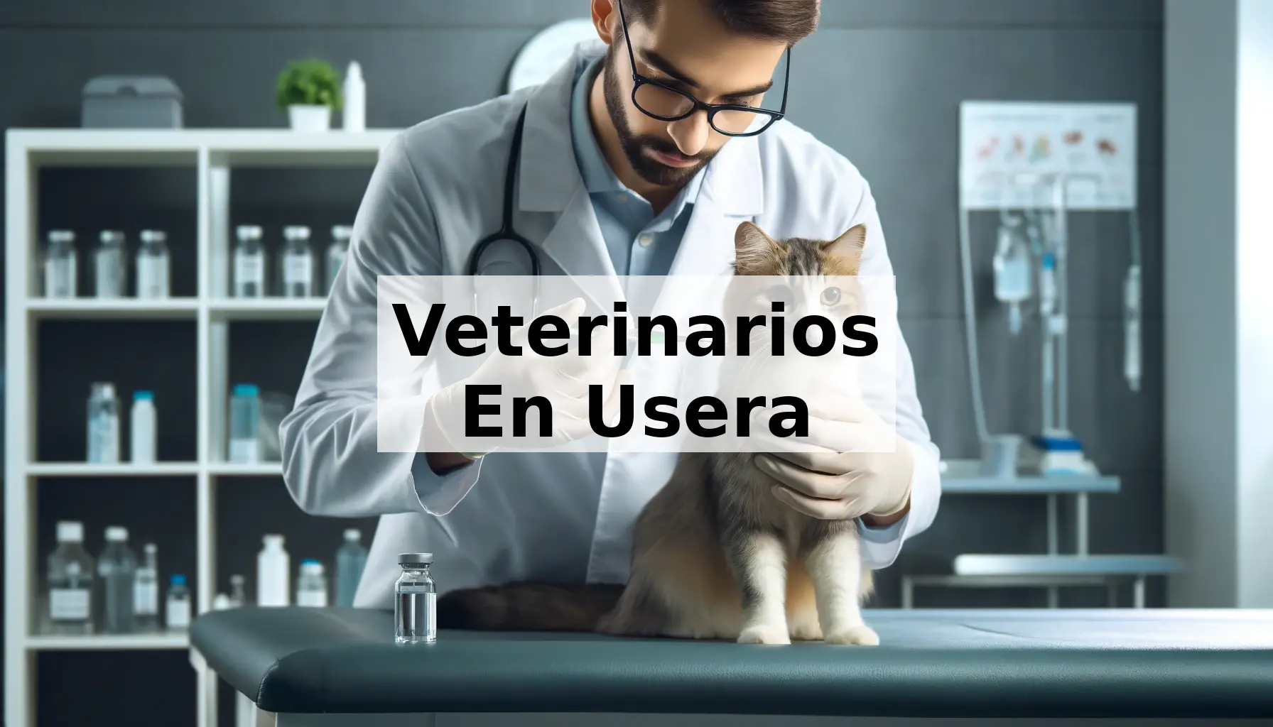 Veterinarios En Usera