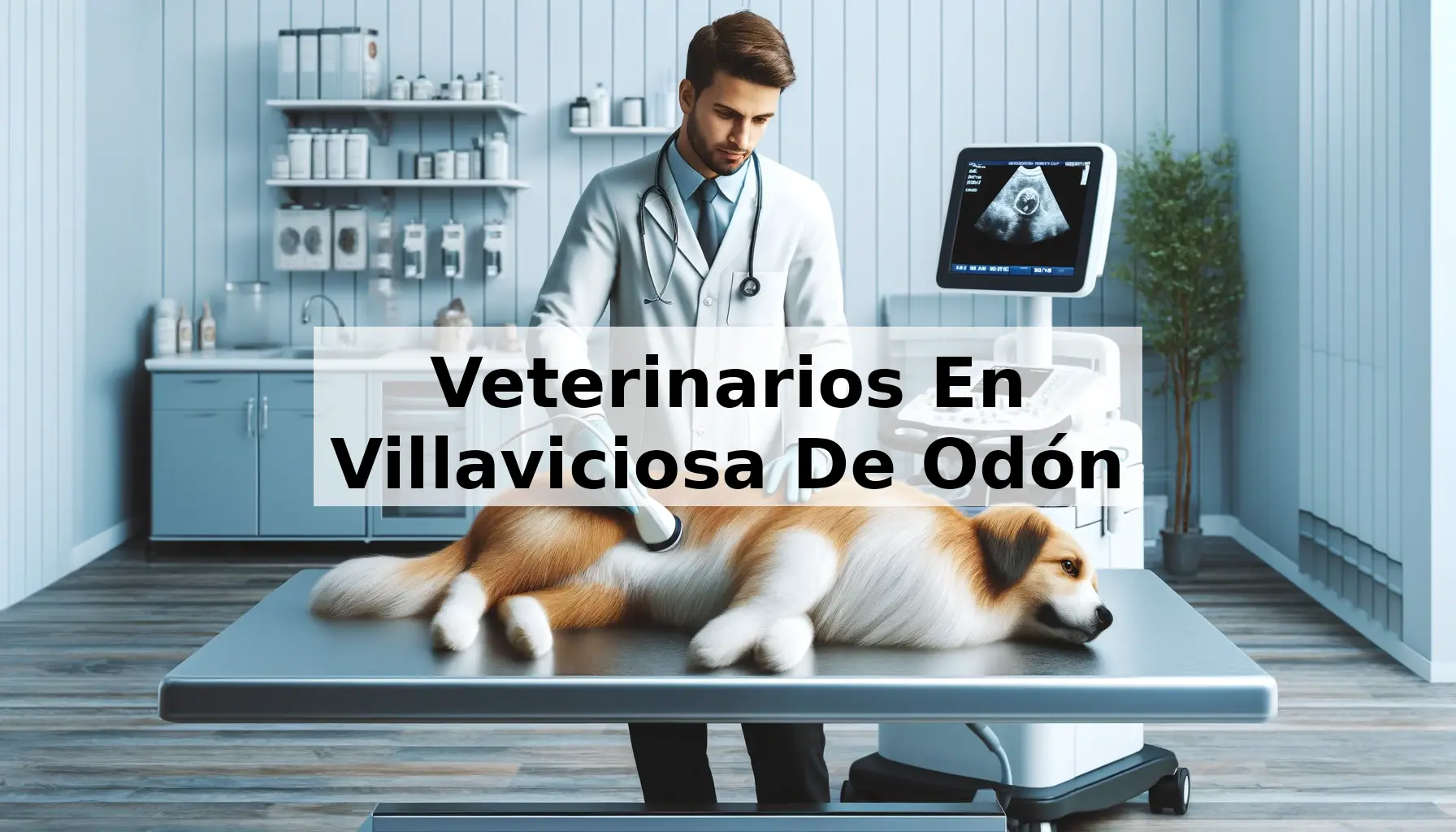 Veterinarios En Villaviciosa De Odón