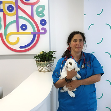 ANIMALES EXÓTICOS 24H - Veterinarios Especialistas