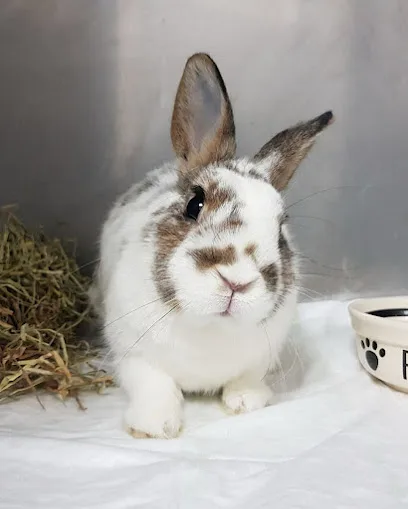 ANIMALES EXÓTICOS 24H - Veterinarios especialistas