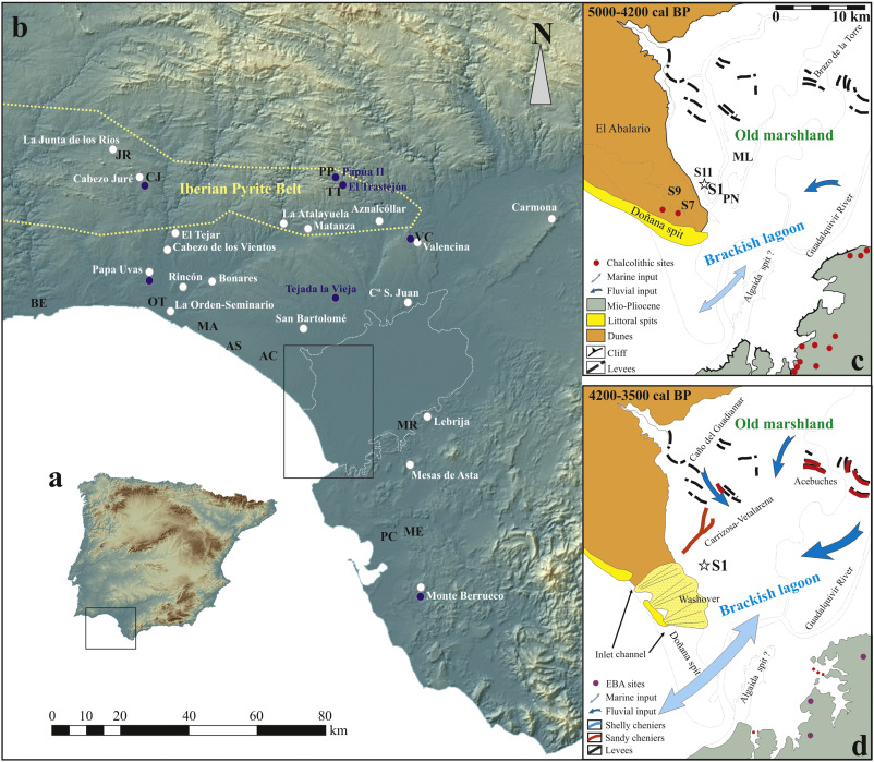 Calvet Animals I Plantes