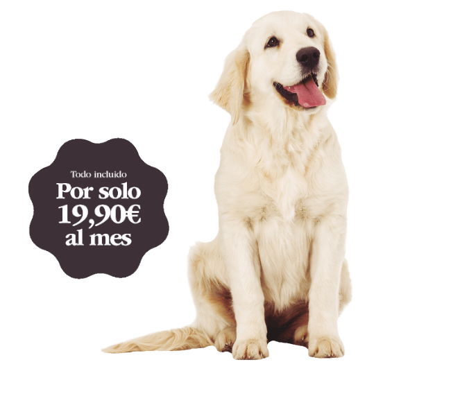 Canitas Veterinaria Madrid - Getafe 3