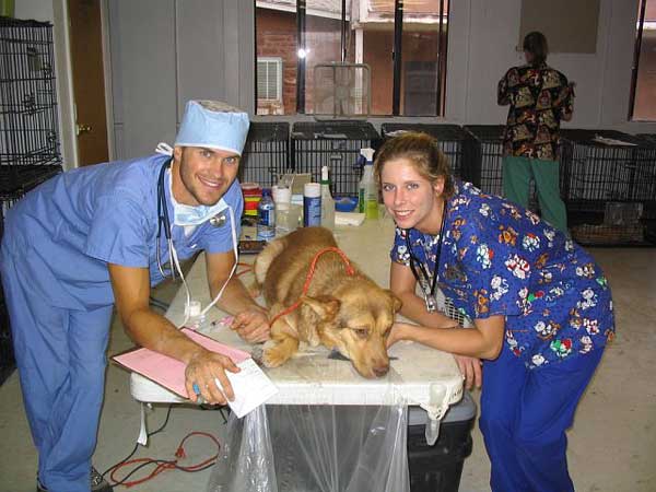 CENTRE VETERINARI CABELL D