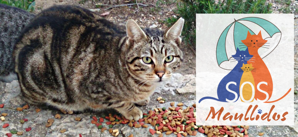 Centro Veterinario El Castell