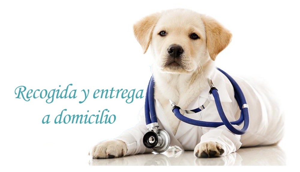 Centre Veterinari Poal