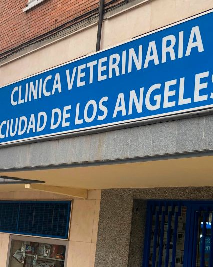 Centro Clínico Veterinario Ciudad De Los Ángeles
