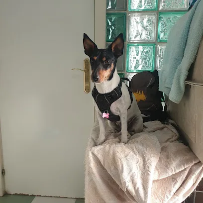 Centro Veterinario El Juncal