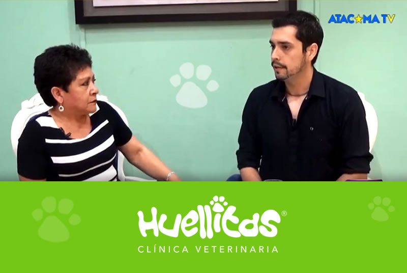 Centro Veterinario Huellitas