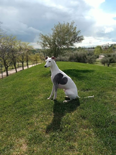 Centro Veterinario Kliper Barajas Madrid