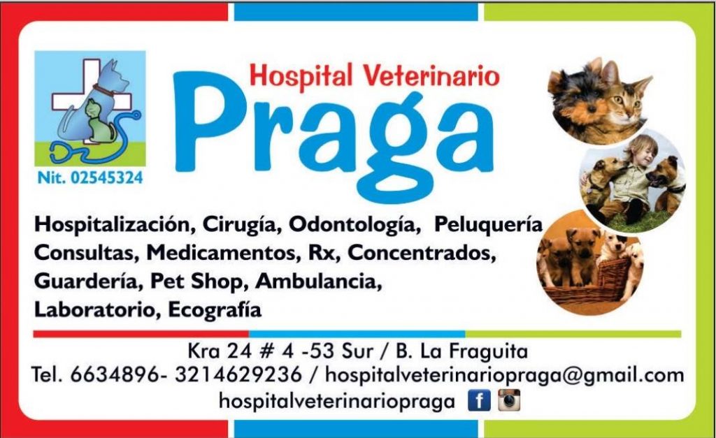 Centro Veterinario Praga