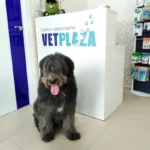 Centro Veterinario VETPLAZA