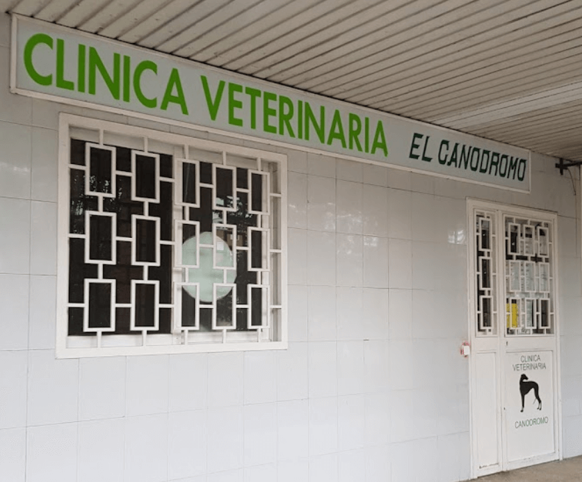 Centro Veterinario Virgen Del Castañar