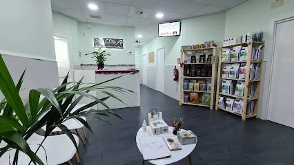 Clinica Veterinaria Angora