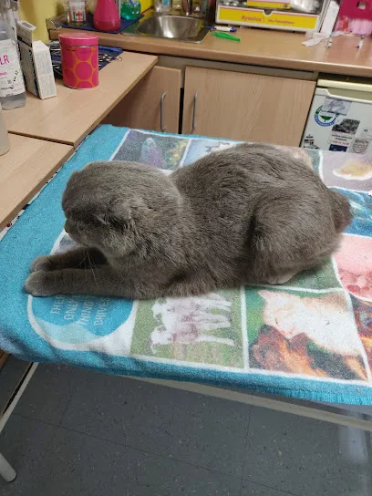 Clinica Veterinaria Ascao