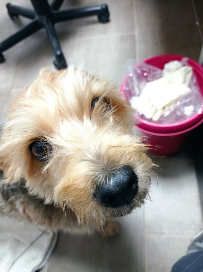 Santiago Trullàs Puig