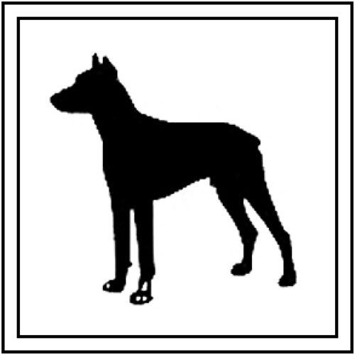 Clinica Veterinaria Dobermann I