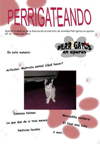 Clínica Veterinaria Éboli