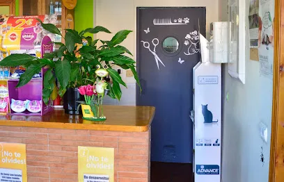 Clinica Veterinaria El Bercial