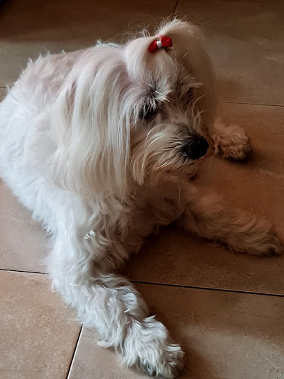 Clínica Veterinaria Eudald Toralles