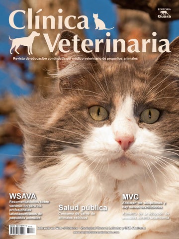 CLINICA VETERINARIA EUROPA