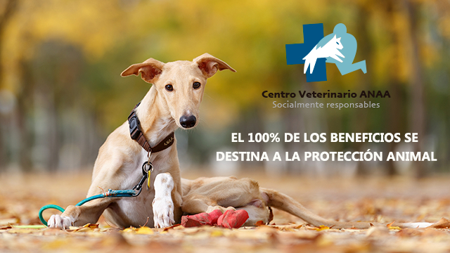 Clínica Veterinaria Fuente El Saz
