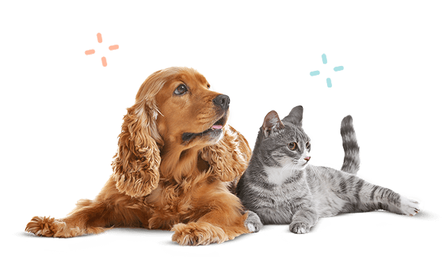 Clínica Veterinaria Getafe Norte (Grupo Peñagrande)