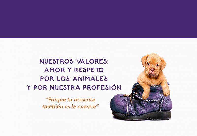 Clínica Veterinaria Las Margaritas