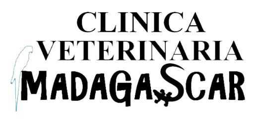 Clínica Veterinaria Madagascar
