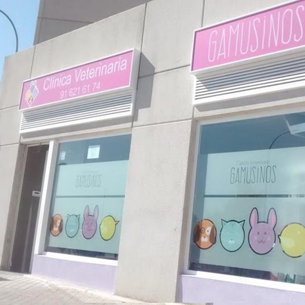 Dispensario Veterinario Del Vallès