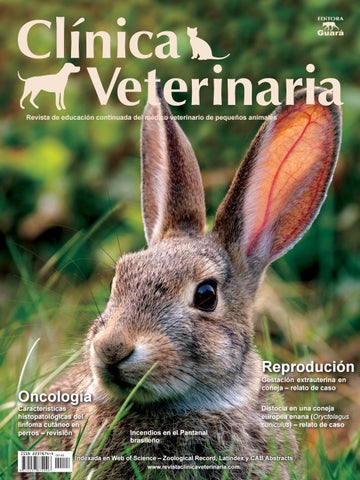 Clinica Veterinaria Mejico 17