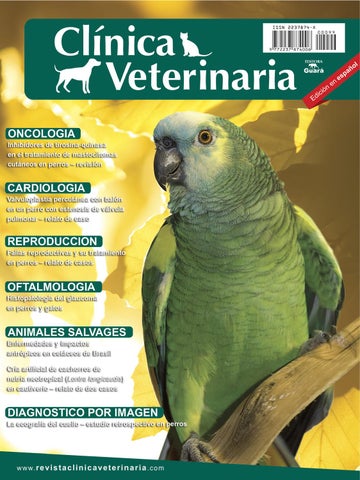 Clínica Veterinaria Milton