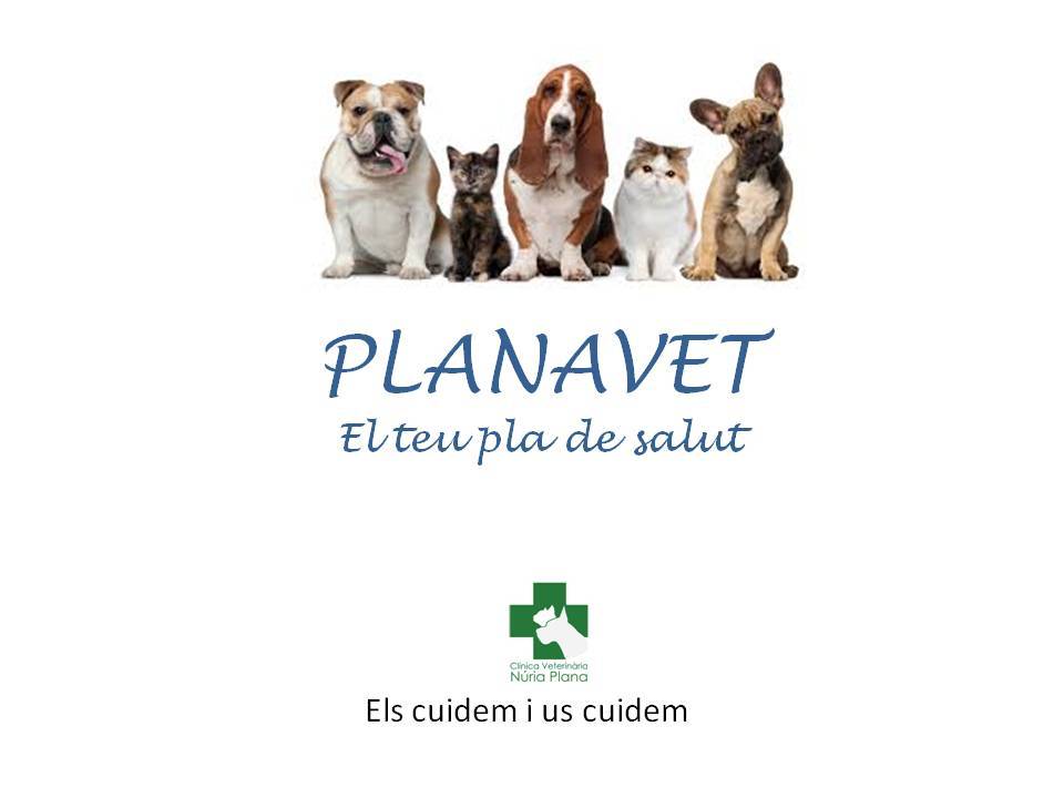 Clínica Veterinària Núria Plana