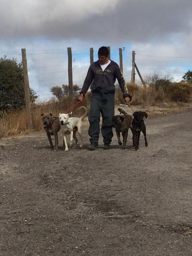 Clínica Veterinaria Parque Aluche