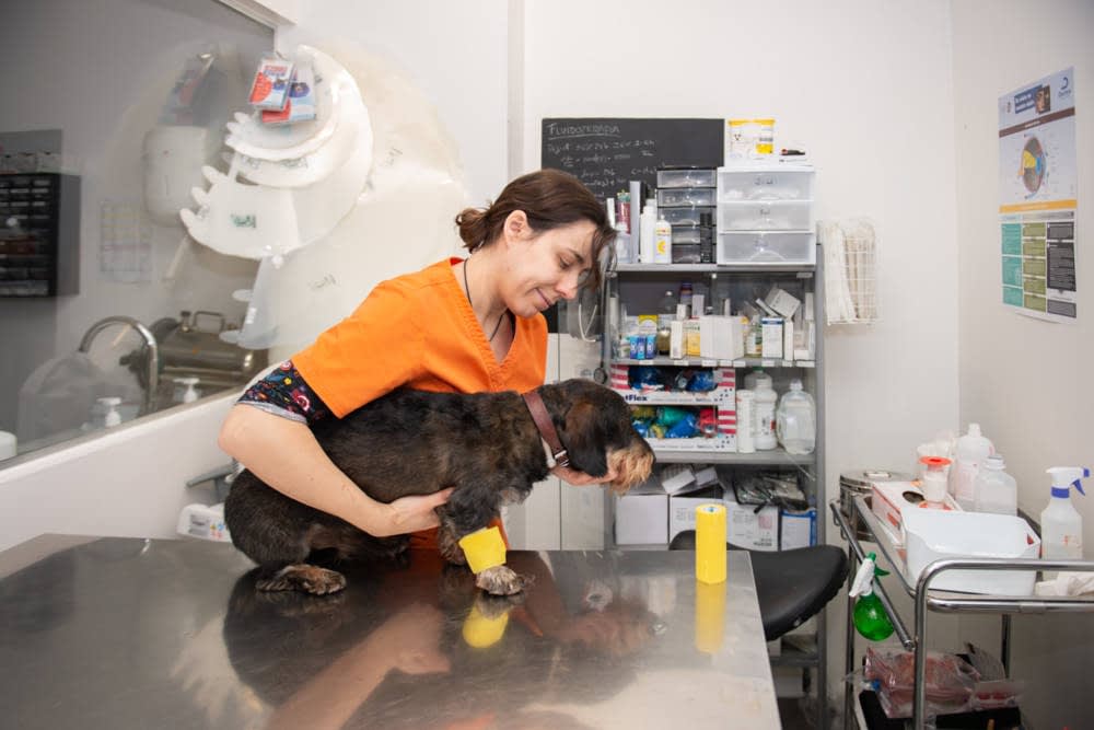 Clínica Veterinaria Petclub
