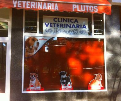 Clinica Veterinaria Plutos