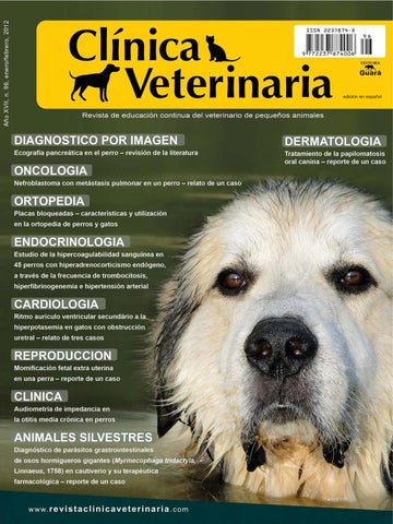 Clinica Veterinaria