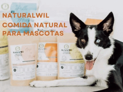 Clínica Veterinària Vilaplana