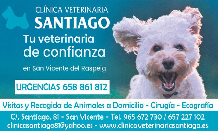 Clínica Veterinaria Virgen De Icíar