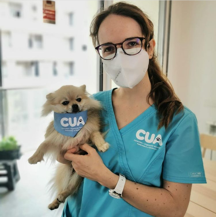 CUA - Veterinario A Domicilio