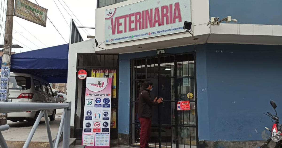 FERVET CONSULTORIO VETERINARIO