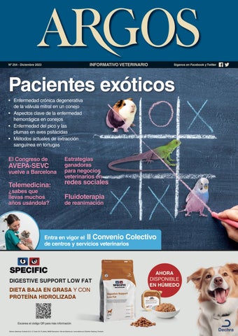 Vets Clinica Veterinaria