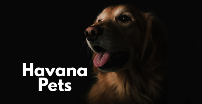 Havana Veterinaris