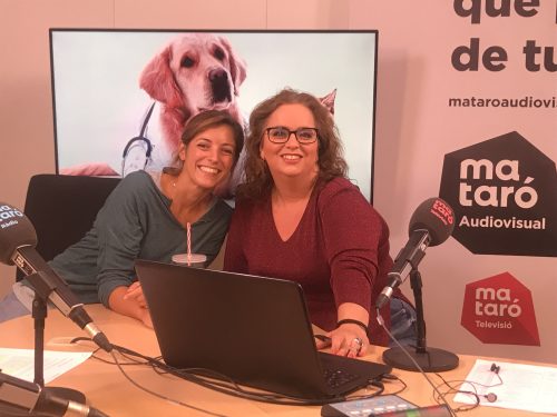 HOSPITAL VETERINARI GARBÍ