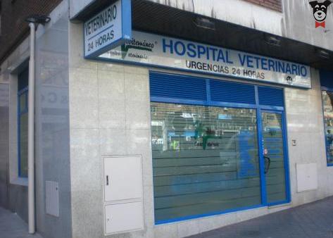 Hospital Veterinario Artemisa