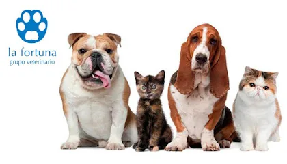 Hospital Veterinario La Fortuna | MiVet