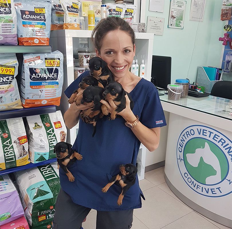Tienda De Animales - Peluqueria Canina - TROPIC