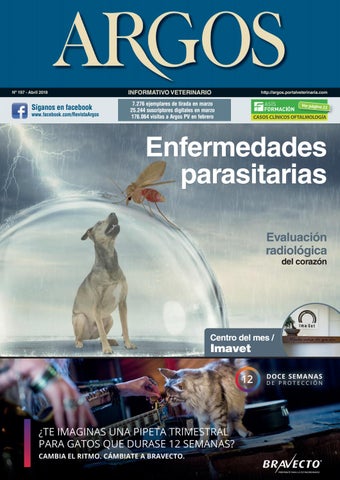 Noroeste Veterinaria