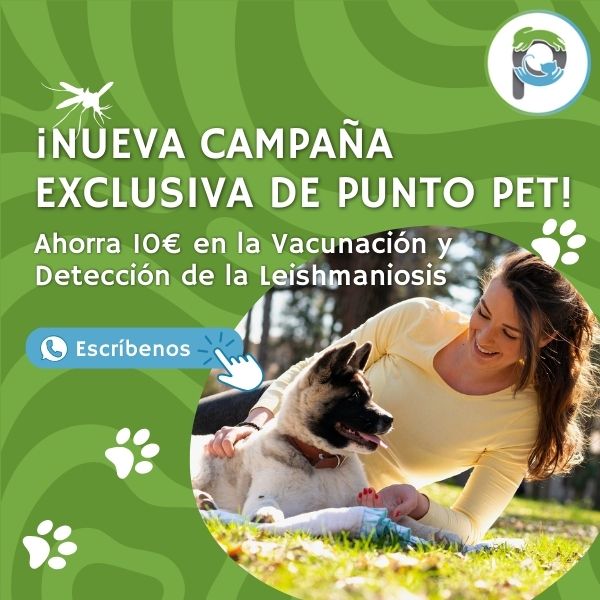 Punto Pet Clínica Veterinaria