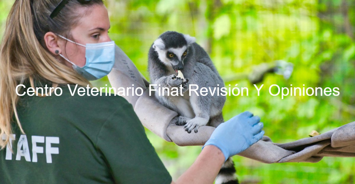 Centro Veterinario Finat