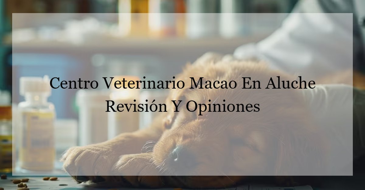 Centro Veterinario Macao En Aluche